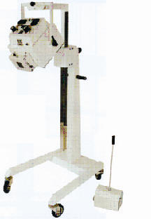 DEDALUS